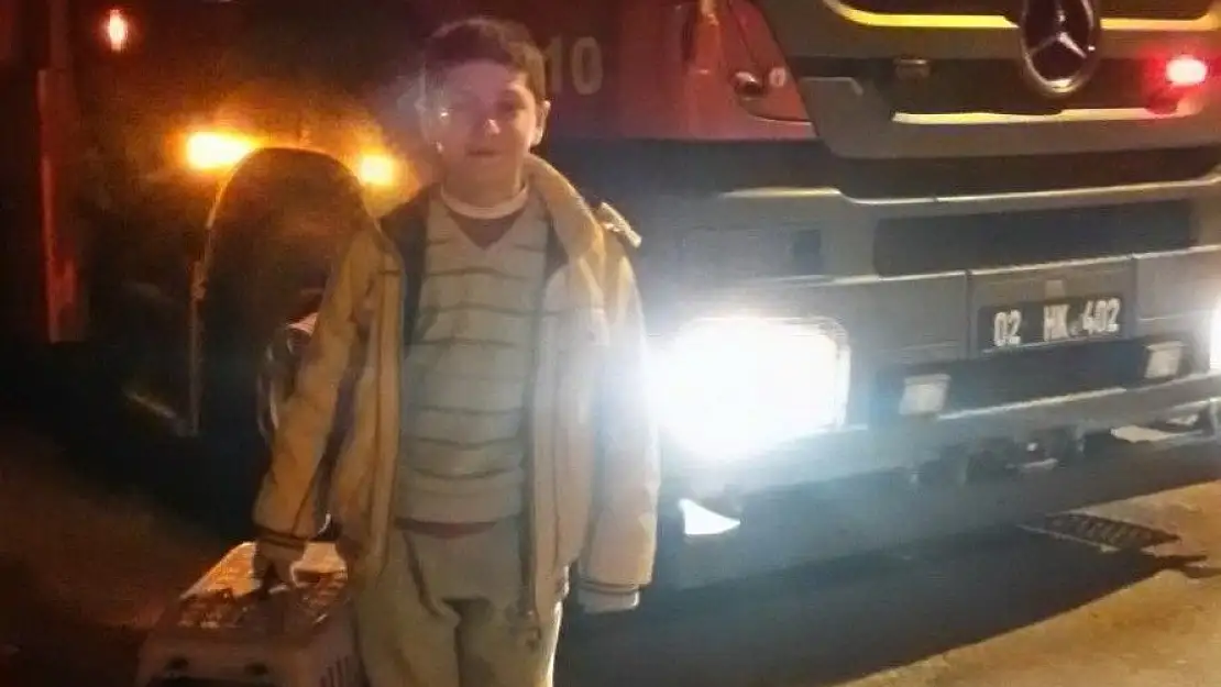 'Ağaçta mahsur kalan kedi kurtarıldı'