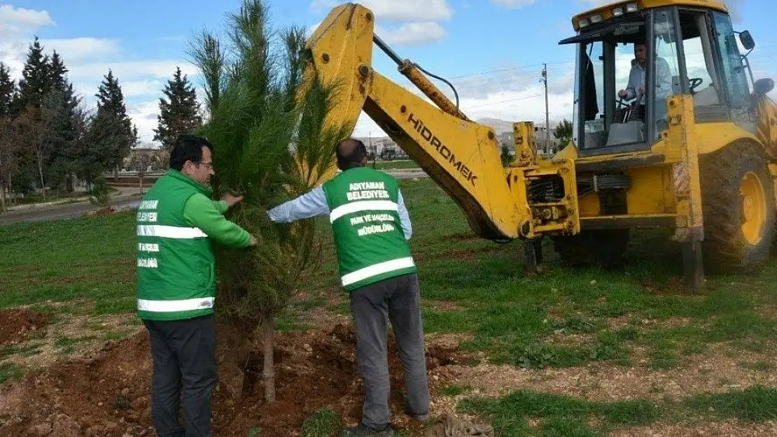 'Yeni mezarlıkta ağaçlandırma çalışması başladı'