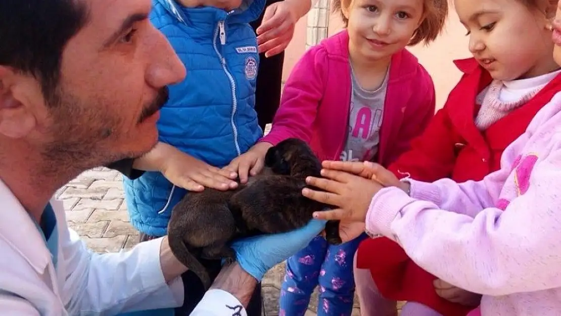 'Minikler tedavi altındaki hayvanları sevdi'