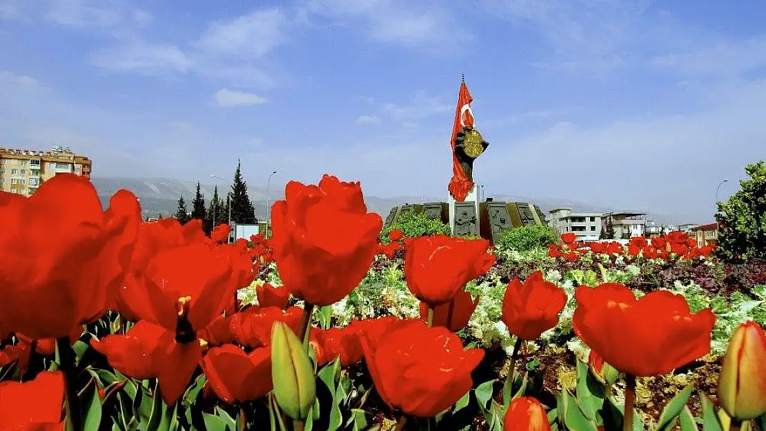 'Kahramanmaraş çiçek açtı'