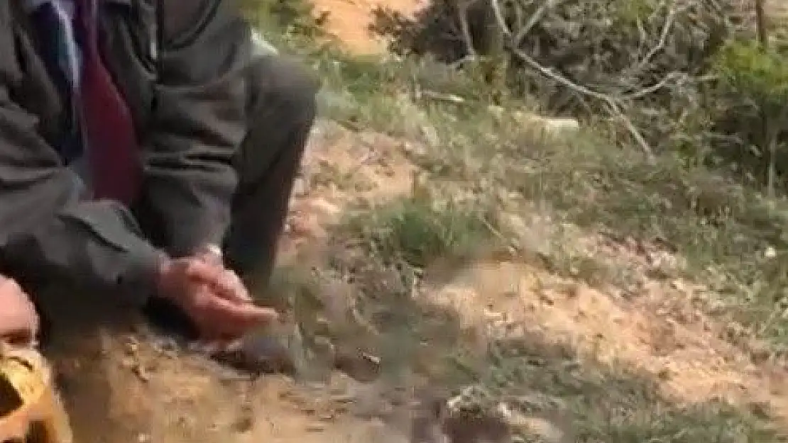'Keklikle yakalanan şahsa bin 946 TL ceza'