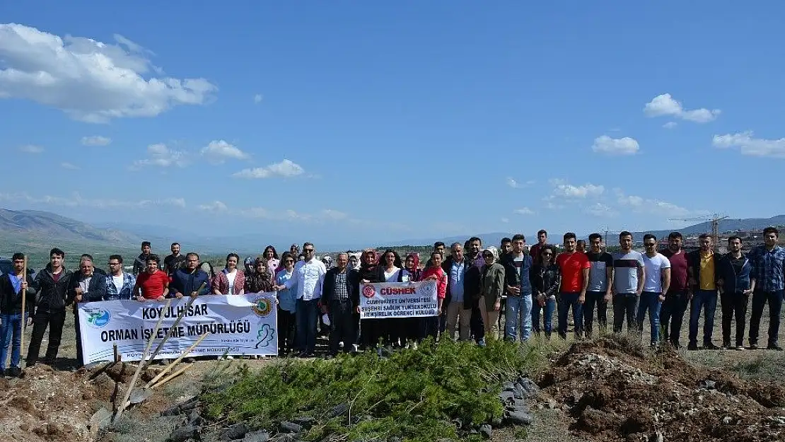 'Suşehri´nde üniversite öğrencileri fidan dikti'