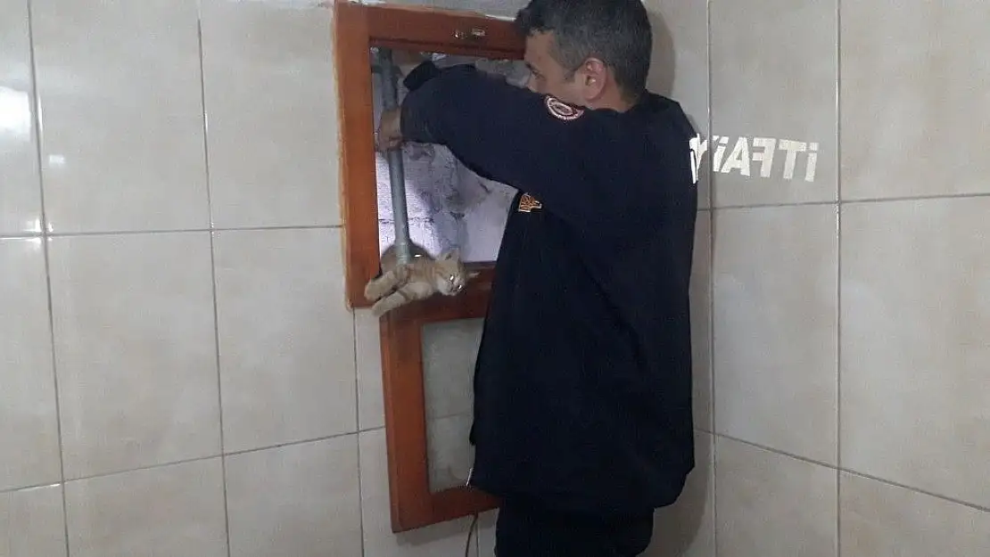 'Yavru kediyi iki günlük esaretinden itfaiye kurtardı'