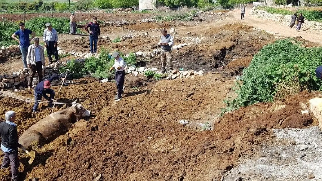 'Pisliğe batan ineği itfaiye kurtardı'