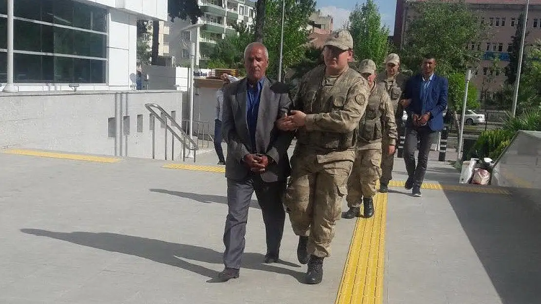 'Hayvan hırsızları yakalandı'