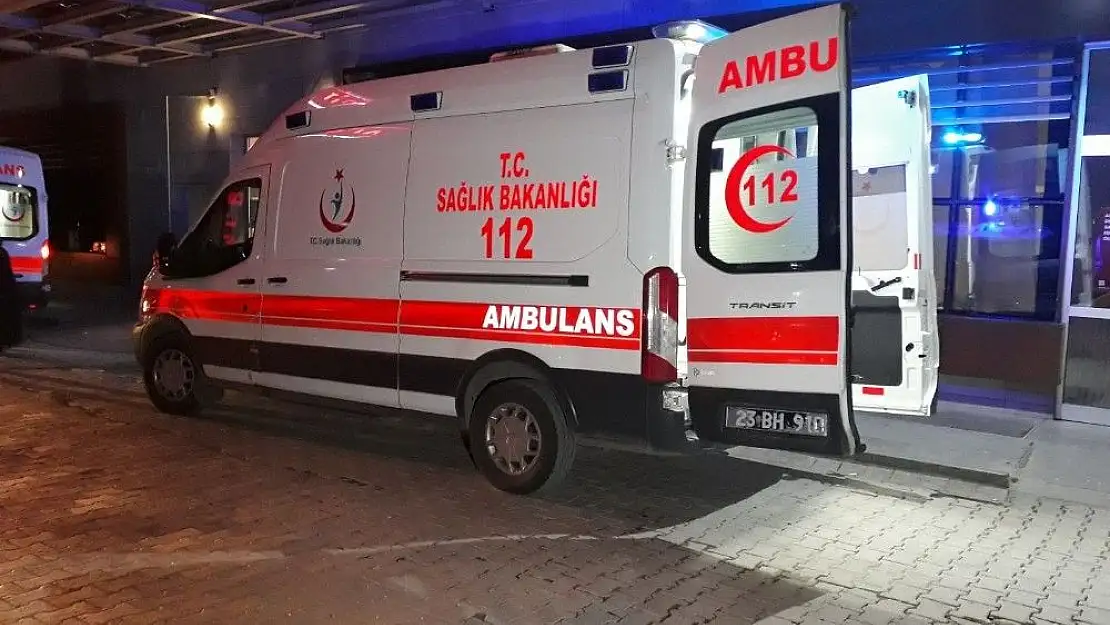Kardeş kavgası cinayetle bitti