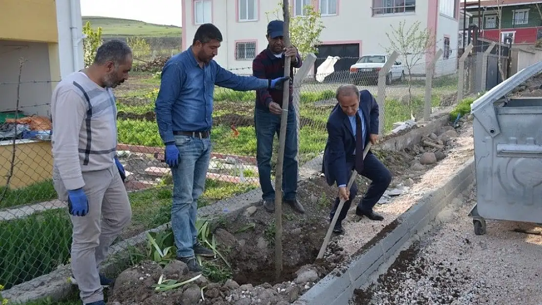 'Arguvan´da değişim ve yenileme çalışmaları'