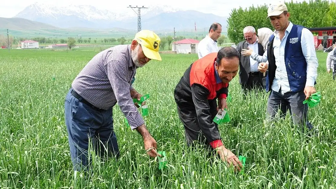 'Süneyle mücadele için 160 bin faydalı böcek doğaya salındı'