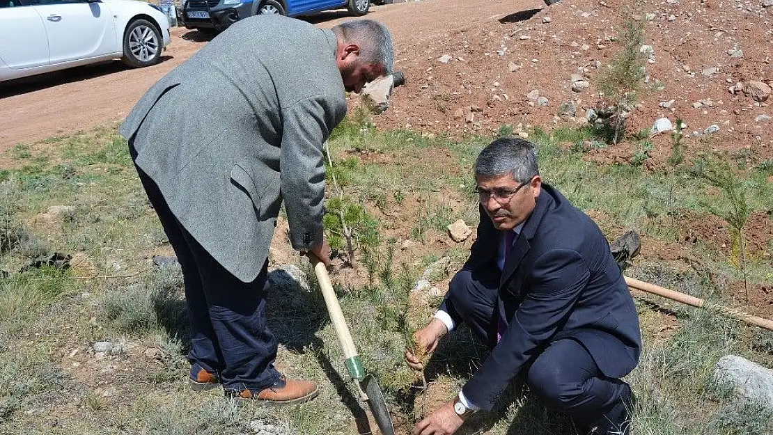 'Suşehri´nde şehitler tepesinde fidan dikimi'