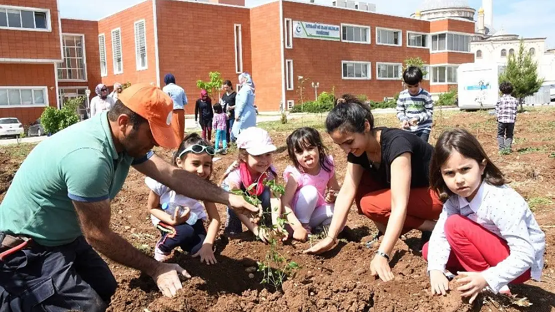 'Üniversitede 180 meyve fidanı daha toprakla buluştu'