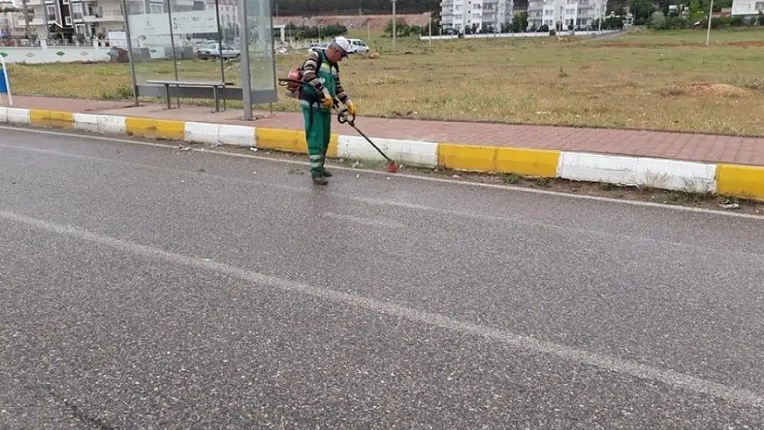 '3. Çevreyolunda yabani otlar temizleniyor'