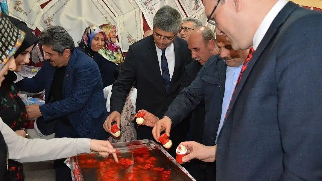 'Suşehri Halk Eğitim Merkezi Yıl Sonu Sergisi'