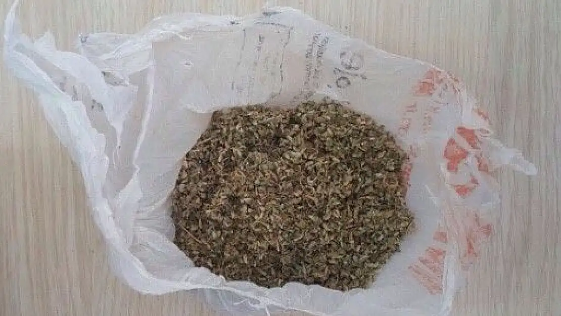 'Üzerlerinde bonzai çıkan şahıslar gözaltına alındı'