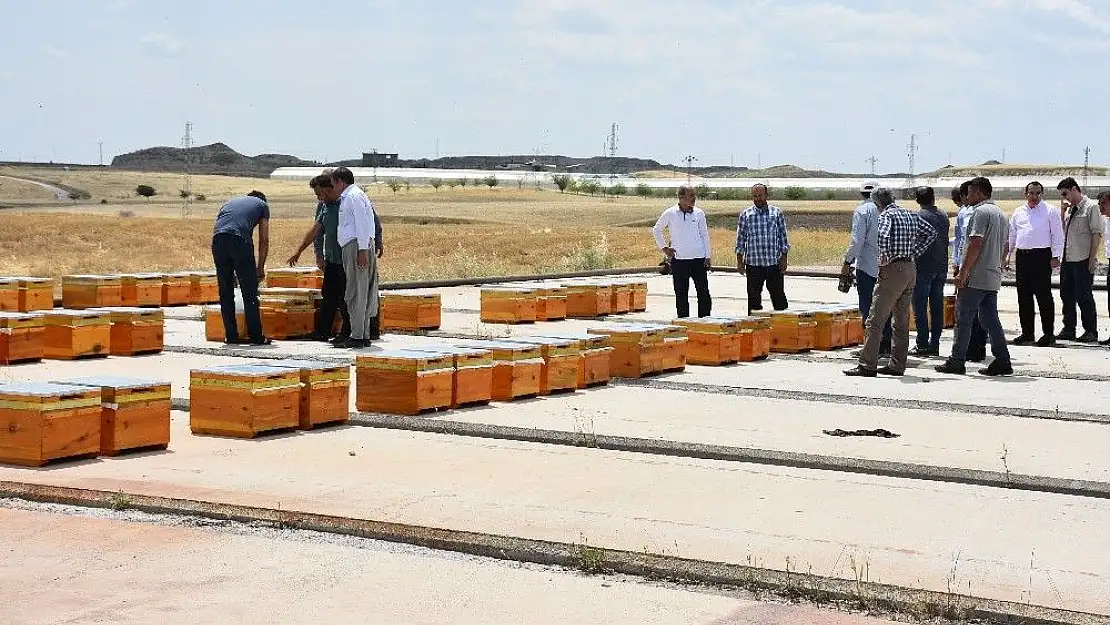 'Kahta´da arıcılara bin kovan Kafkas Arısı desteği'