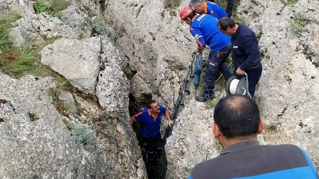 'Kayalıkların arasına sıkışan atı AFAD ekipleri kurtardı'