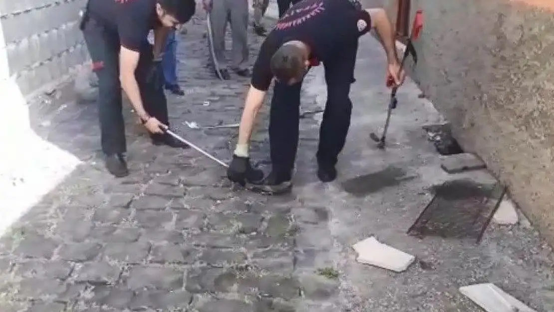 'Kanalizasyonda mahsur kalan yavru yılanı itfaiye kurtardı'