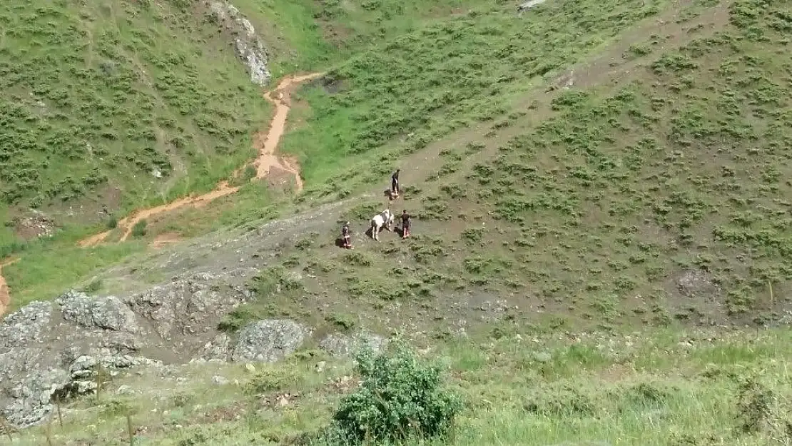 'Mahsur kalan ineği itfaiye ekipleri kurtardı'