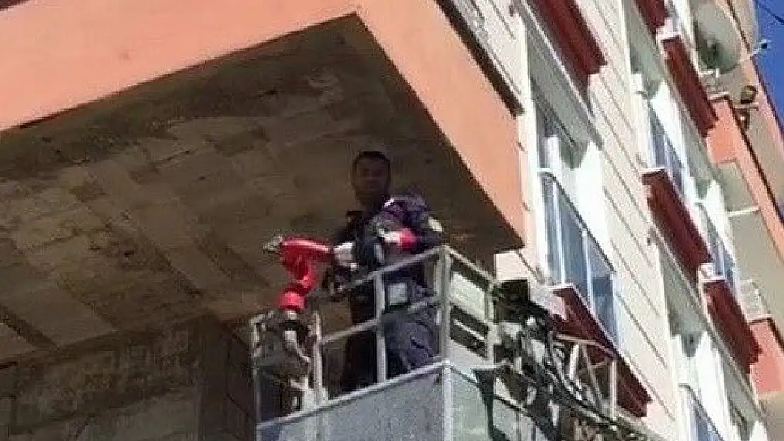 'Duvarda asılı kalan ebabil kuşu kurtarıldı'