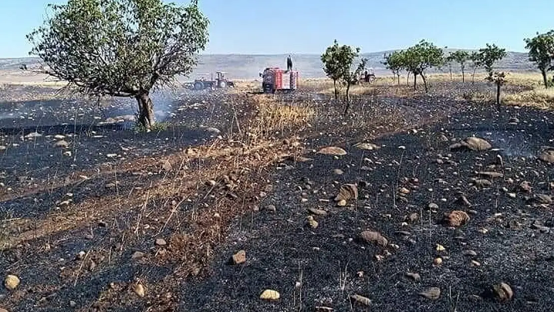 '25 dönüm buğday tarlası kül oldu'