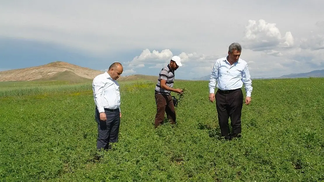'Mehmetçiğin nohut ihtiyacını Sivas karşılayacak'