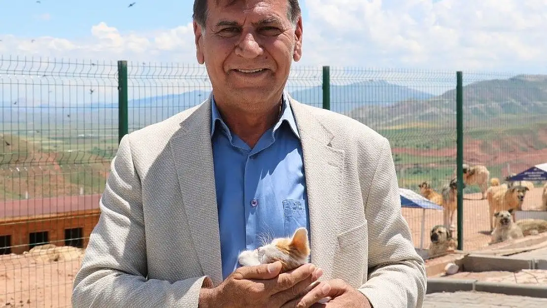 'Sivas´ta hayvanlara 5 yıldızlı otel'