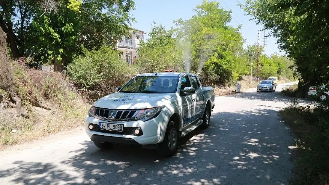 'Elazığ´da ilaçlama çalışmaları sürüyor'