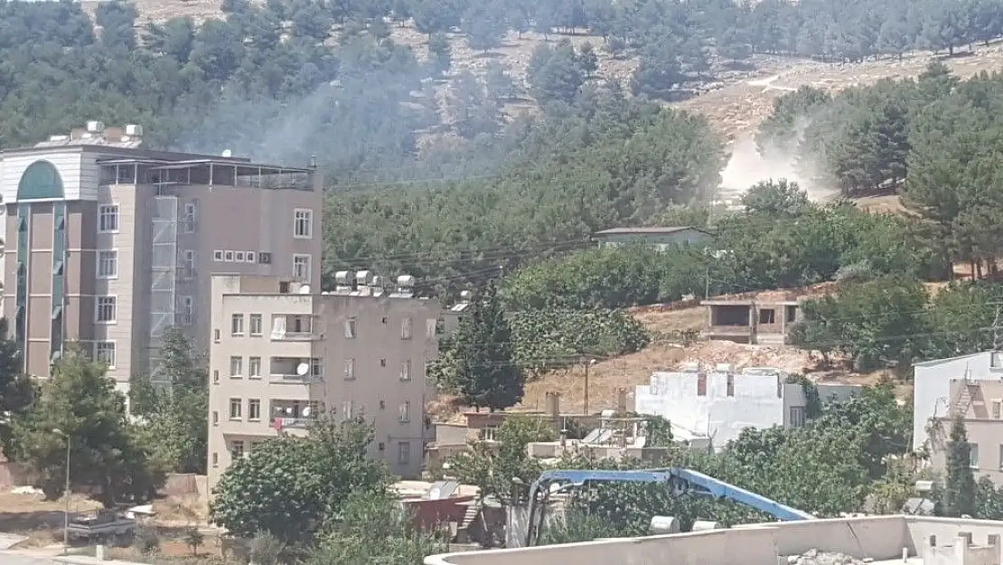 'Aynı ormanlık alan 3. kez yandı'