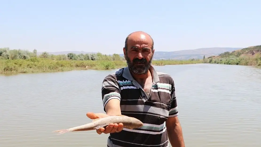 'Toplu balık ölümlerini nedeni, oksijen azlığı'