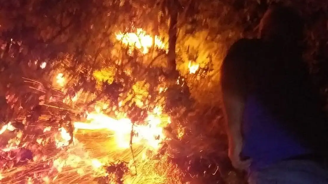 'Gerger ilçesinde orman ve bahçe yangını'