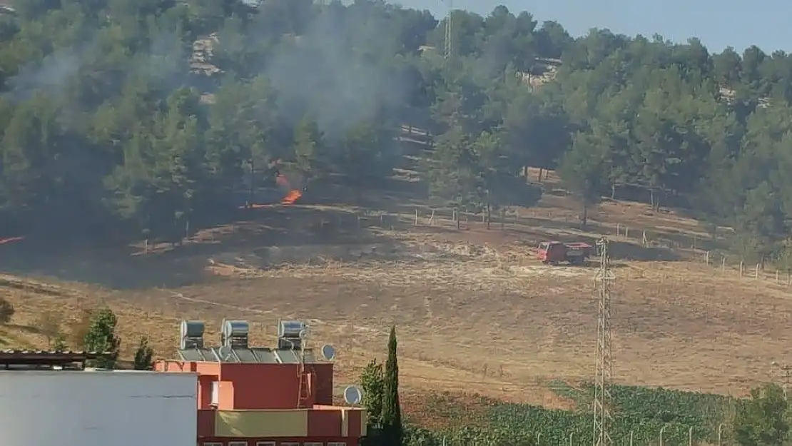 'Karadağ Hatıra Ormanı 8. kez yandı'