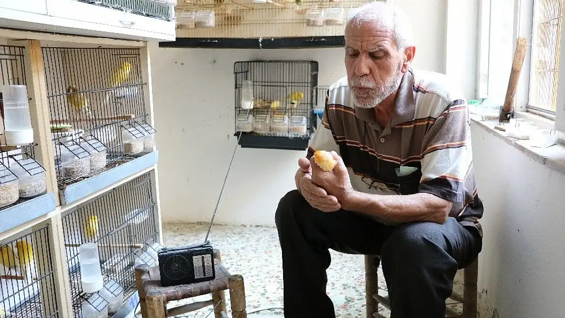 'Kuşlarına Türk Sanat Müziği dinletiyor'
