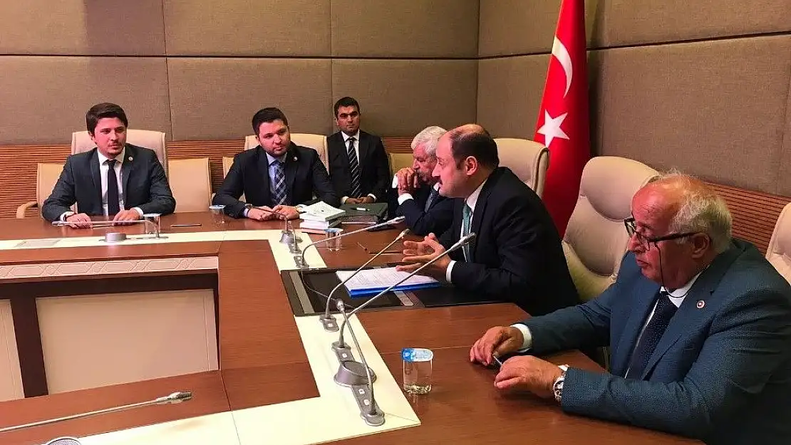 'Milletvekili Toprak AB Uyum Komisyonu üyesi oldu'