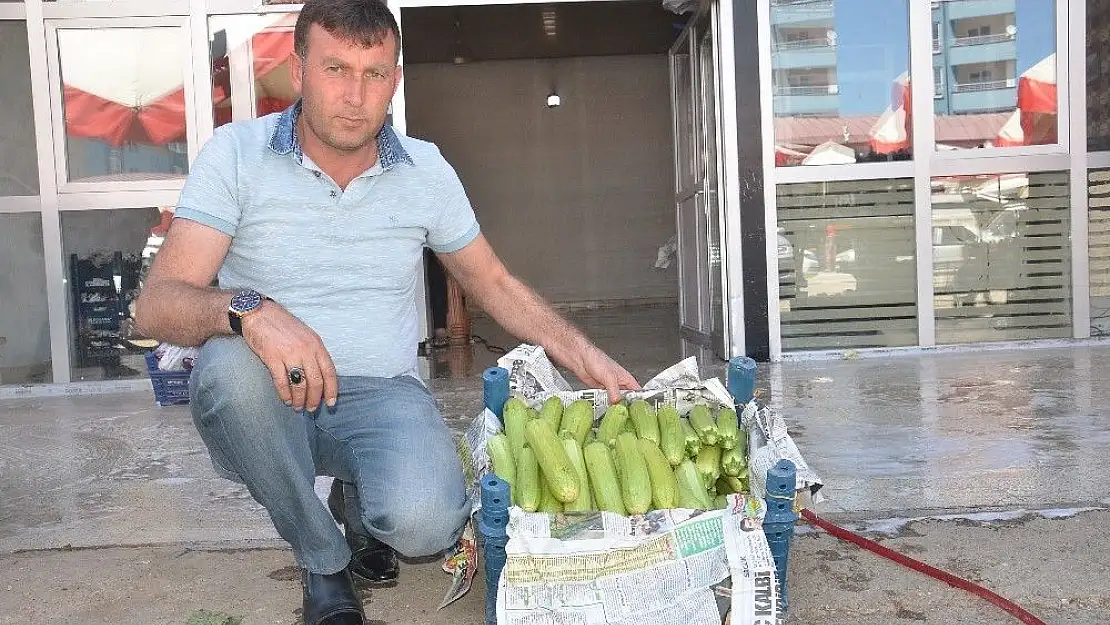 'Rusya´ya Elbistan kabağı'