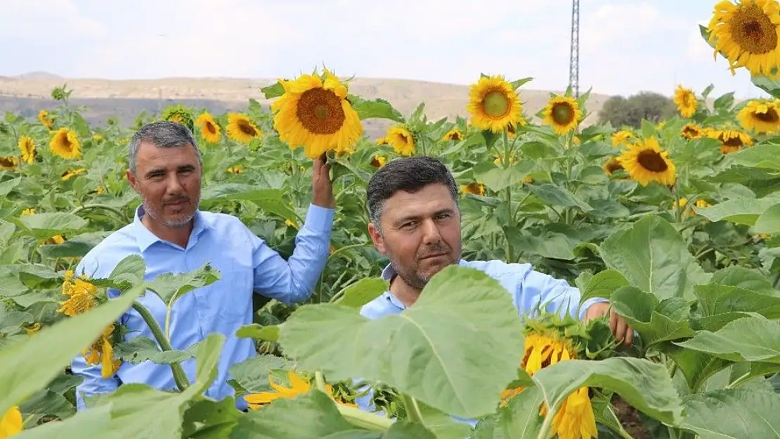 'Çin Türkiye´yi çekirdek ile vurdu'