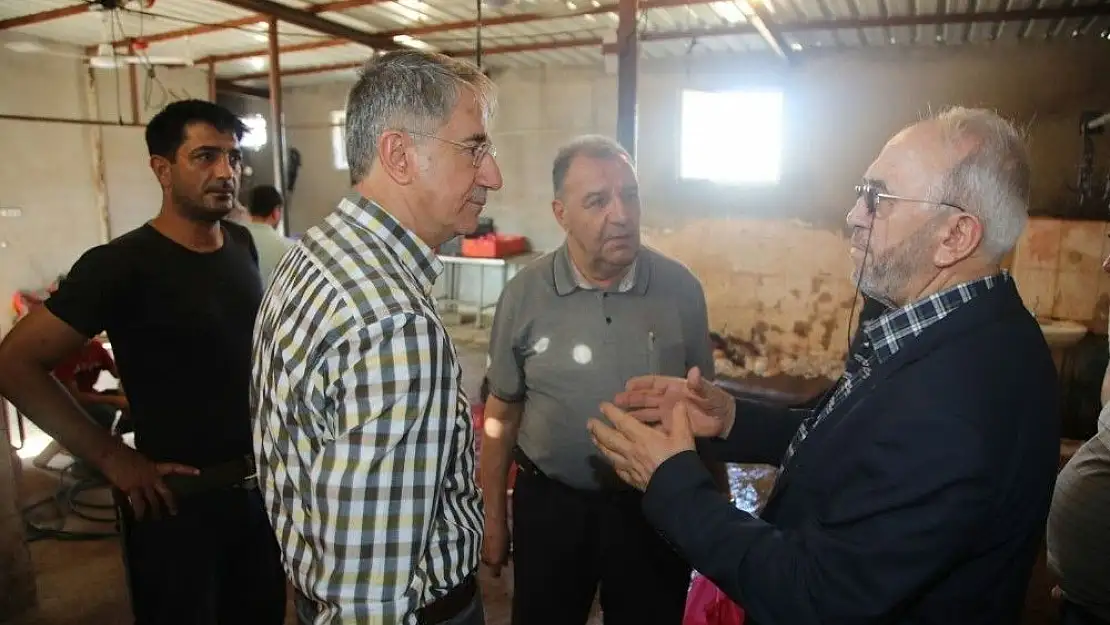 'Başkan Yanılmaz, hayvan borsasını inceledi'