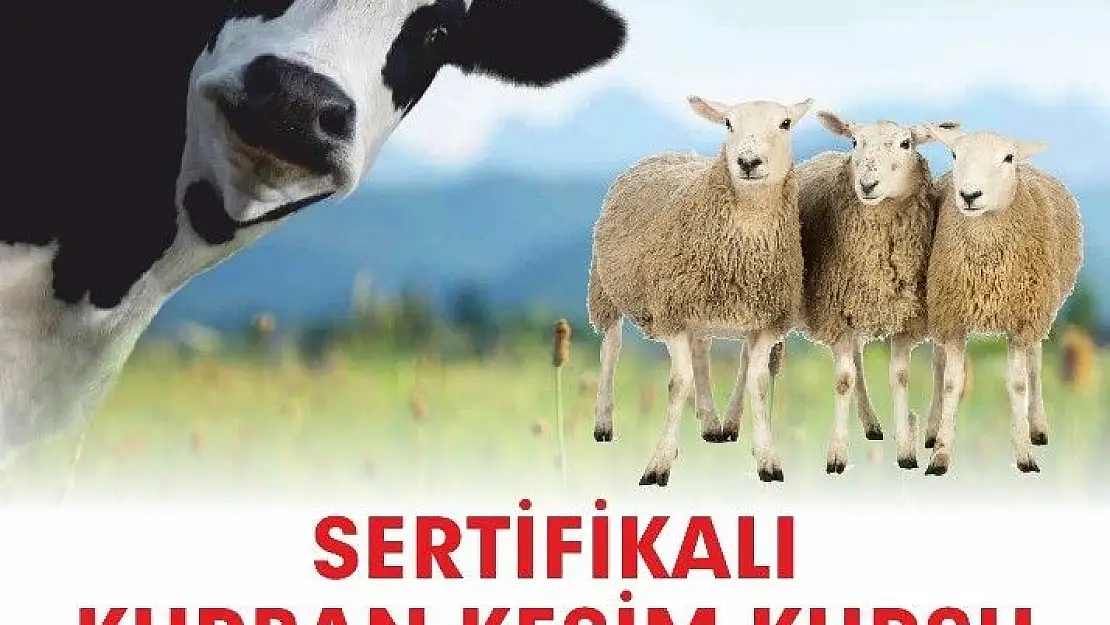 'Büyükşehirden kurban kesim kursu'