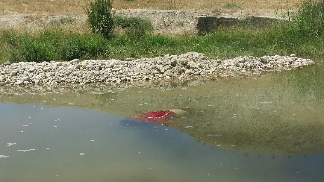 'Cesedi bulunan erkek şahsın kimliği belli oldu'