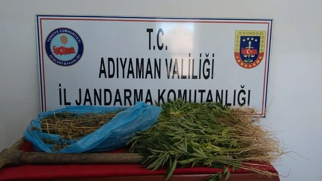 'Jandarma uyuşturucu madde ele geçirdi'