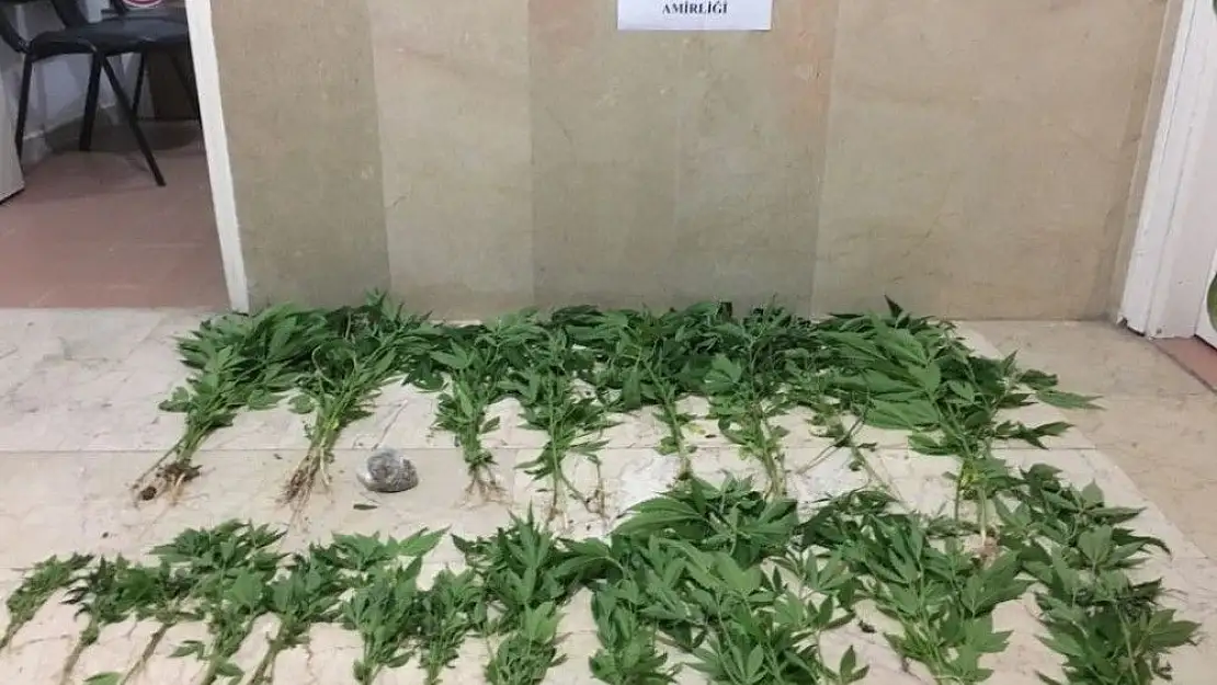 'Gemerek´te uyuşturucu operasyonu'