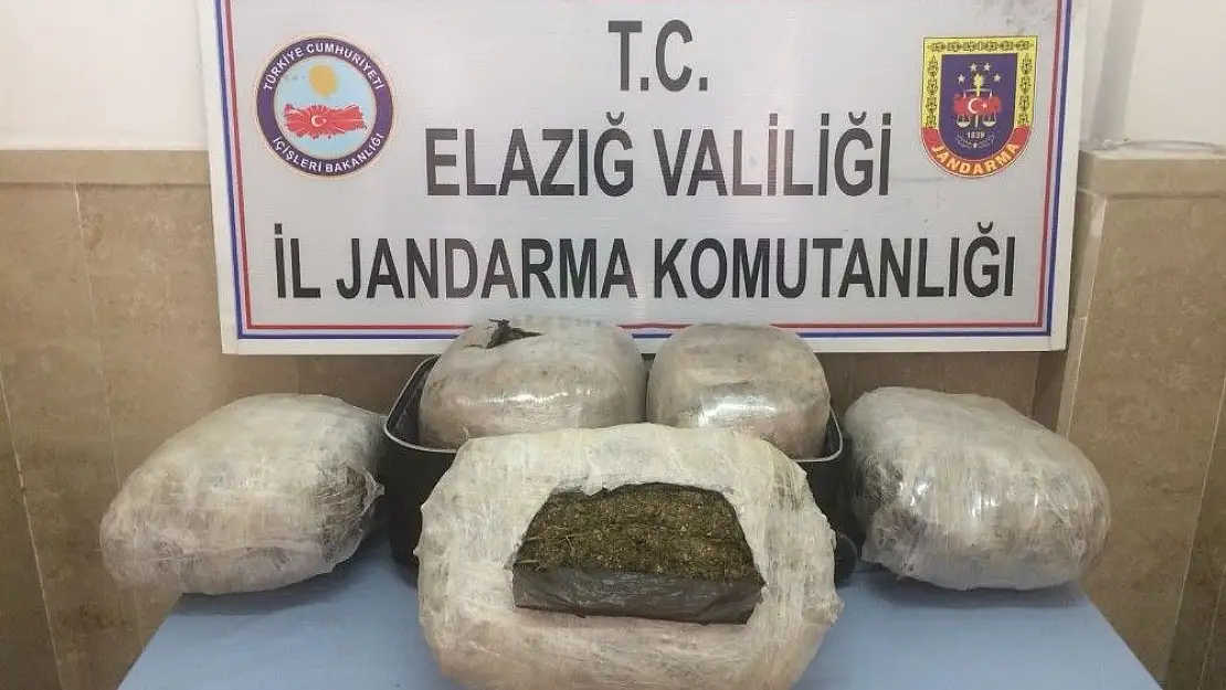 'Trendeki 26 kilo esrarı narkotik köpekleri buldu'