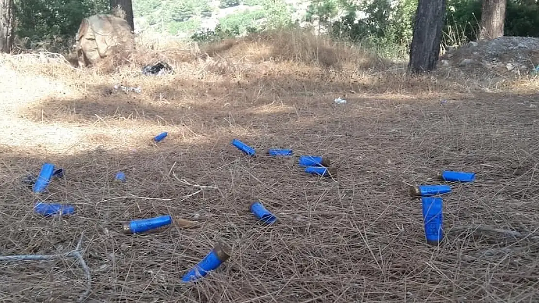 'Ormanlık alanlar çöplüğe döndü'
