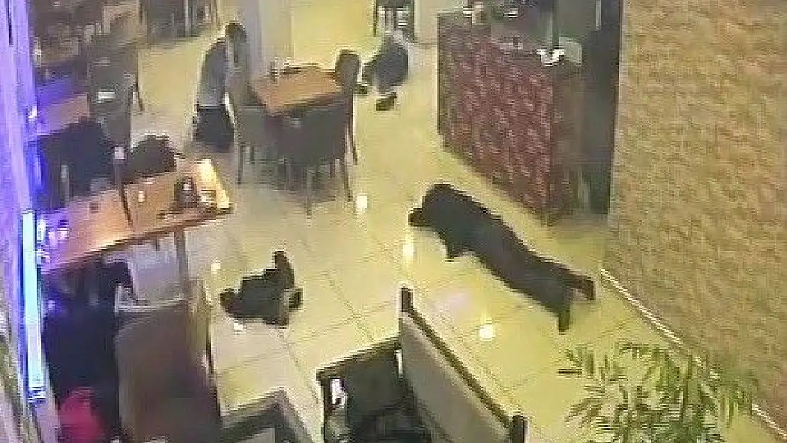 Malatya´da 4 kişinin öldüğü olayın görüntüleri ortaya çıktı