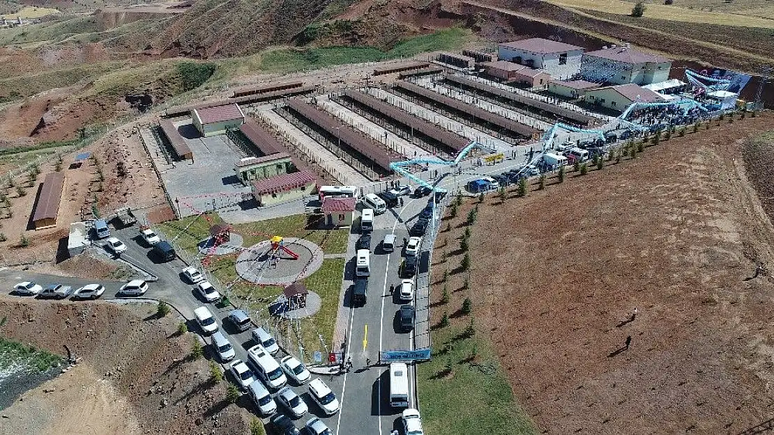 'Sokak hayvanlarına 7,5 milyon liralık yeni yuva'
