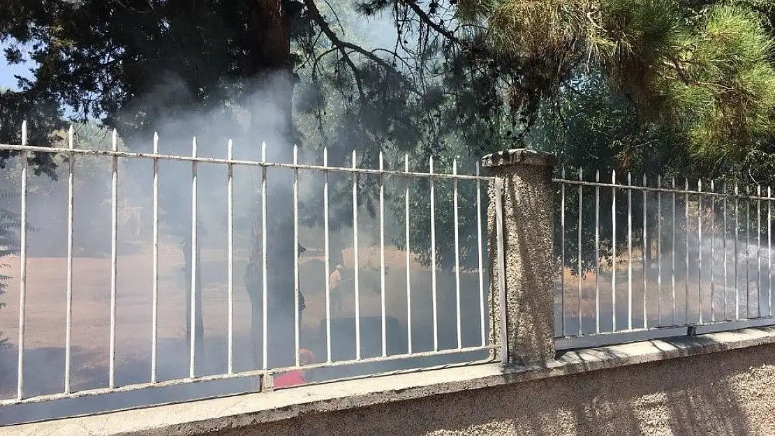 'Jandarmanın dikkati sayesinde onlarca ağaç son anda kurtarıldı'