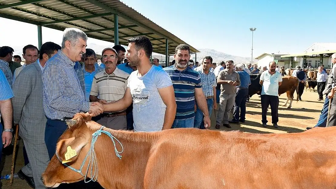 'Büyükşehir, Hayvan Pazarı´nda önlemler aldı'