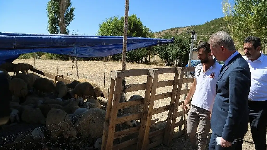 'Elde kalan kurbanları Et ve Süt Kurumu alacak'