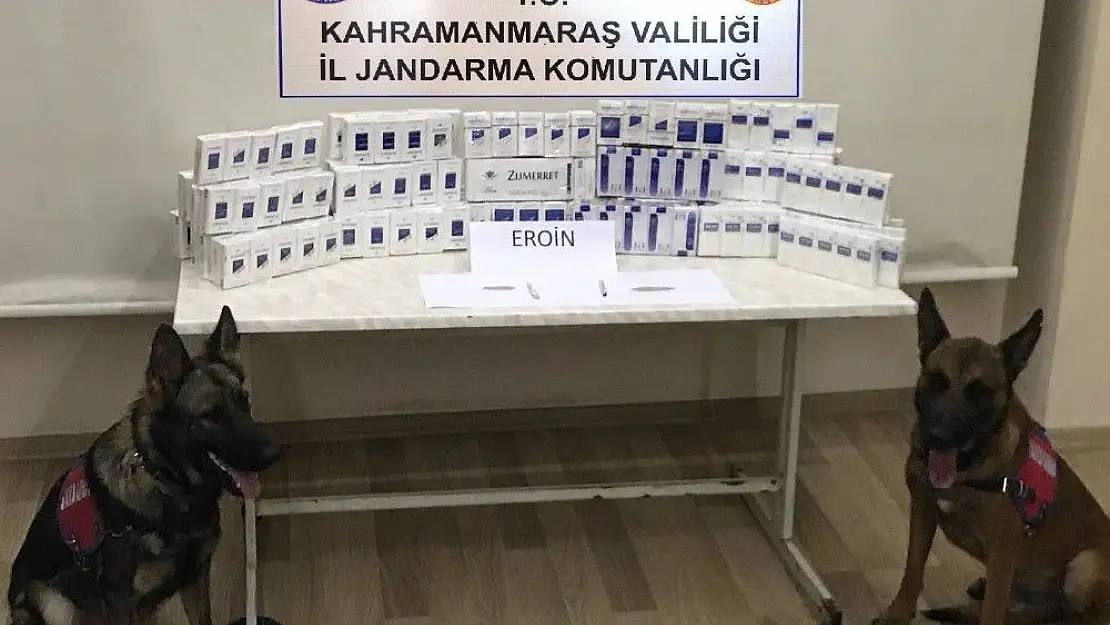 'Jandarmadan huzur operasyonu: 12 şahıs yakalandı'