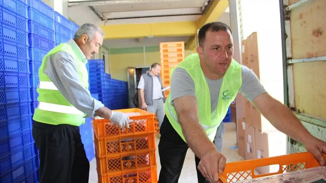 'Hayat Ağacı Derneği kurban bağış süresini uzattı'