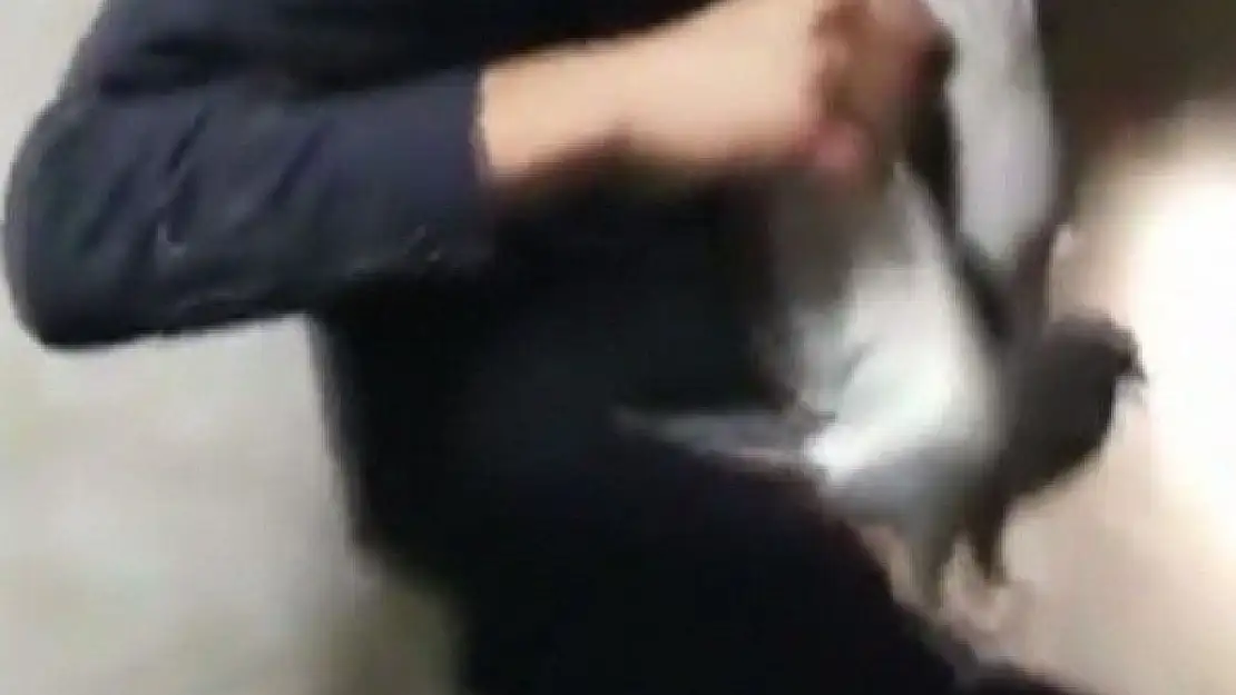 'Havalandırma boşluğuna düşen kuşu itfaiye ekipleri kurtardı'