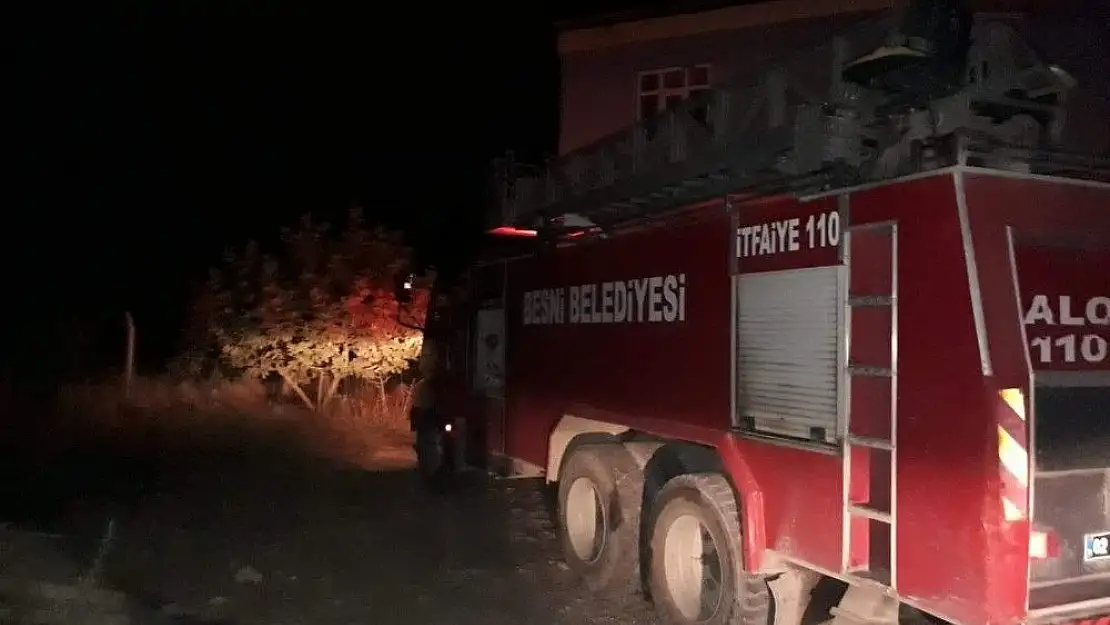 'Orman yangını fıstık bahçelerine zarar verdi'